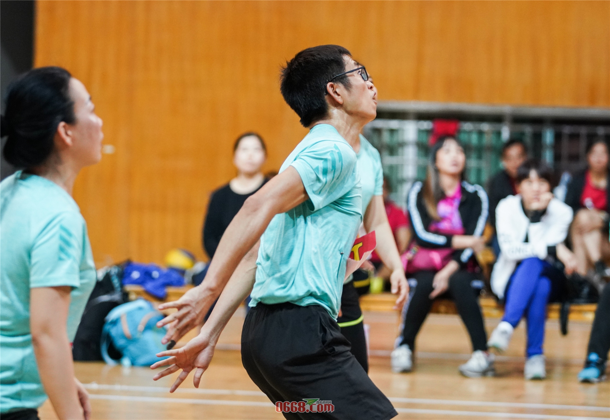 DSC01446.jpg