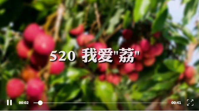 852.jpg
