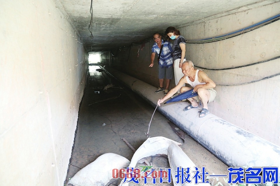 bb207a1ec157e552b925455af2775333.jpg