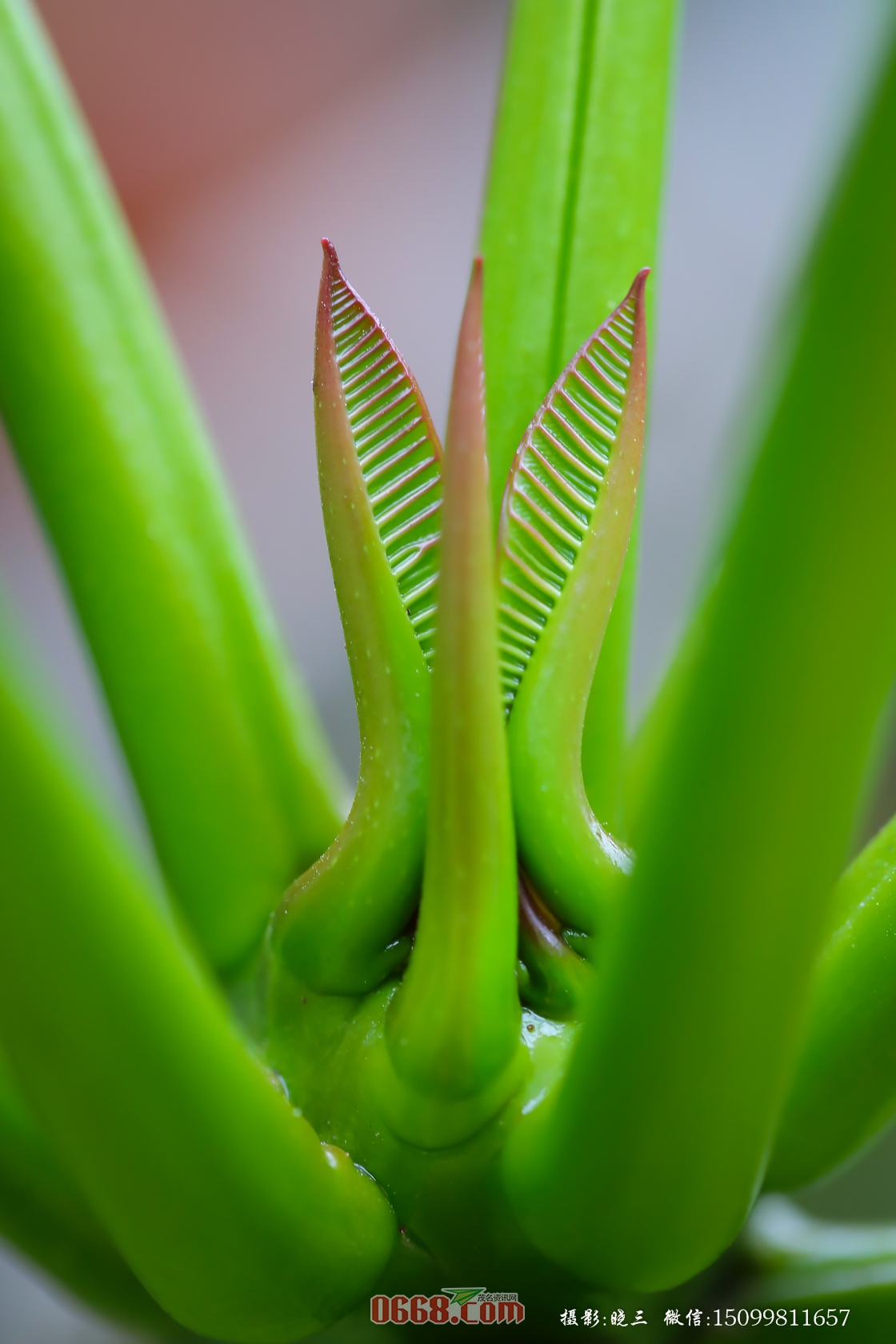 XXS_8292-128.jpg